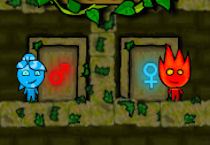 fireboy and watergirl in the forest temple